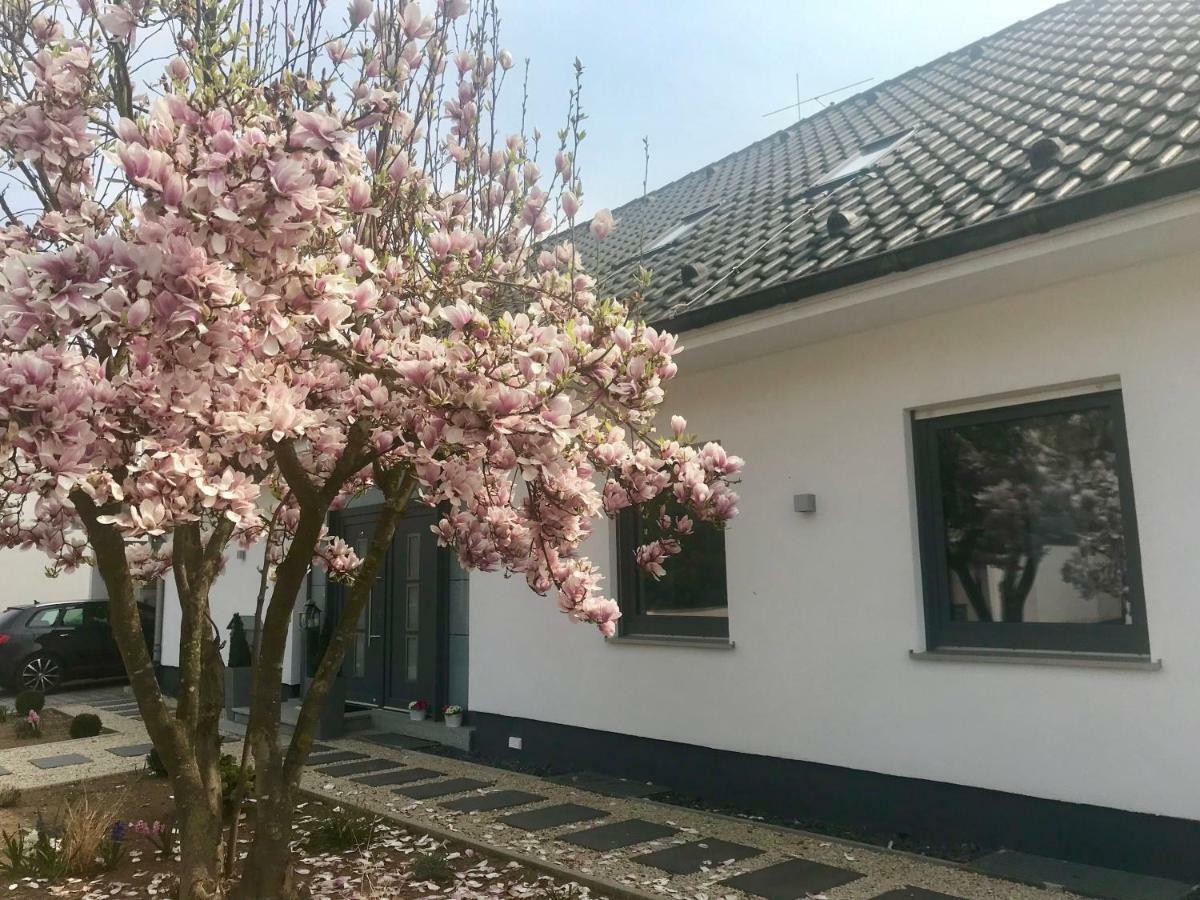 Weinurlaub Apartman Sulzfeld am Main Kültér fotó